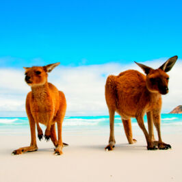 Фотография к туру Авторский тур «10 чудес Китая»