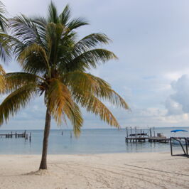 Фотография к туру Авторский тур «10 чудес Китая»